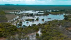 Barragem que rompeu em independência era irregular, diz SRH.